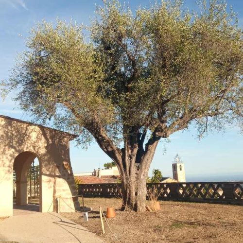 Cette photo chateauneuf-media-signaletique-identite (6).jpg, a été réduite de 83.85 % le Vendredi 12 Décembre 2025 à 10:12 par Emjysoft Photo Réducteur v6.0 à télécharger sur https://www.emjysoft.com/