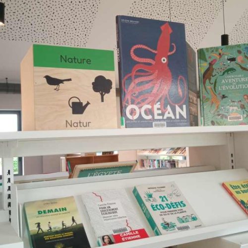 Cette photo helenegerber-signaletique-mediatheque-saintthegonnec (32).jpg, a été réduite de 85.9 % le Vendredi 27 Juin 2025 à 11:06 par Emjysoft Photo Réducteur v6.0 à télécharger sur https://www.emjysoft.com/