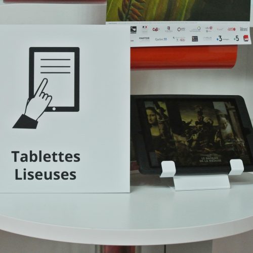 pictos-livreetlecture-bretagne-helene-gerber (1)