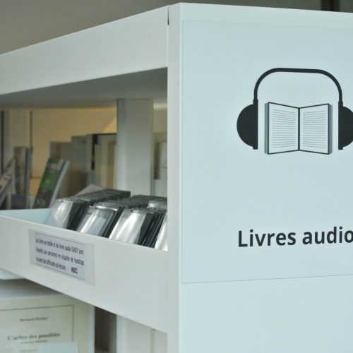 pictos-livreetlecture-bretagne-helene-gerber (3)